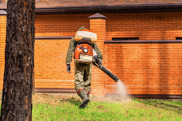 Trusted Rodent Control service in Beaumont, TX - Nex Pest Control